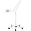 Loeplamp LED 5D op Statief Instelbare Lichtsterkte S5 Wit