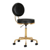 Tabouret Verstelbaar H5 Goud-Zwart