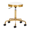 Tabouret Verstelbaar Eco Leder H7 Goud-Wit